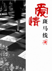 激情午夜天